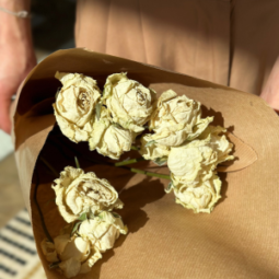 חבילת ורדים לבן יבשים